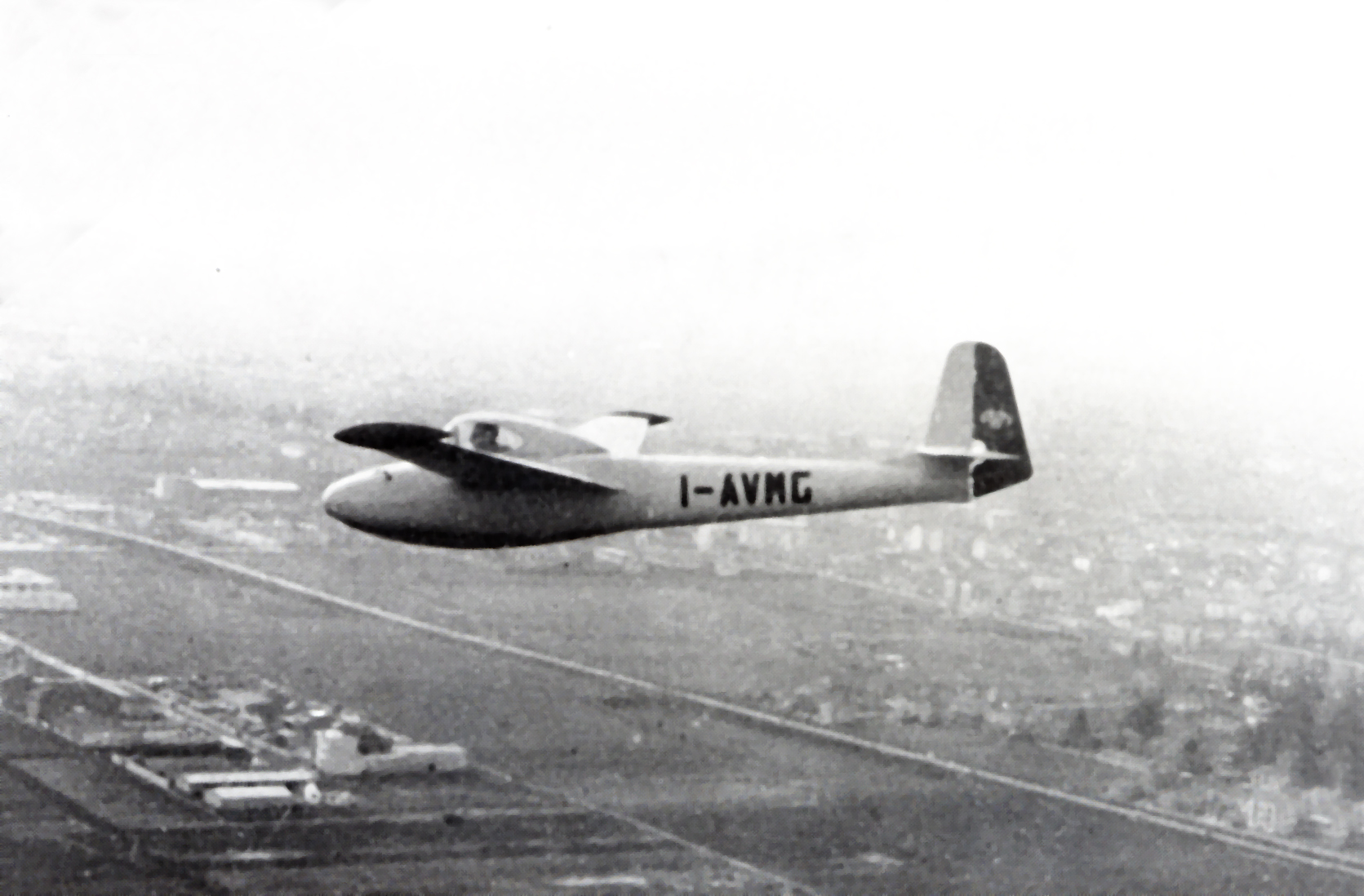 Il Gheppio in volo su Milano