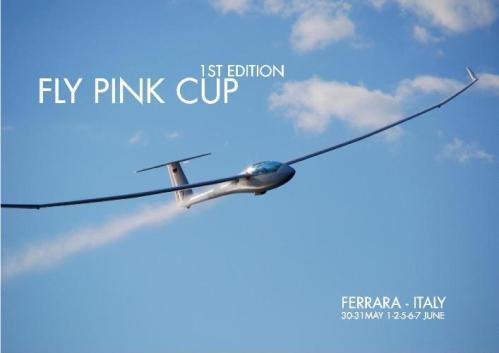 FlyPinkCup2014Logo2