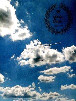 RVV239