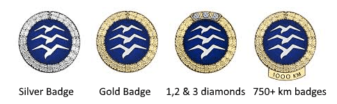 FAI gliding badges pins